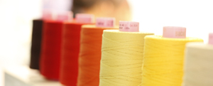 Major Chinese Exhibitors