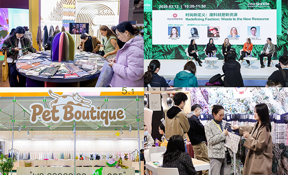 Recap the fair's highlights