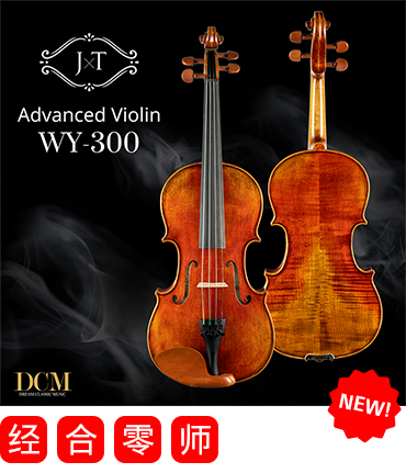 Violin JXT WY-300