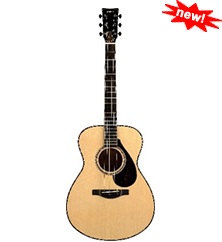 Acoustic Guitar FS9