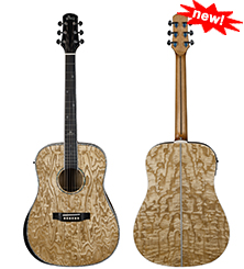 Winzz exotic series acoustic guitar