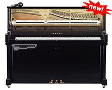 SILENT Piano™ Conversion Kit / RSC3