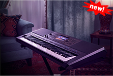 Digital and Arranger Workstations / PSRA-5000