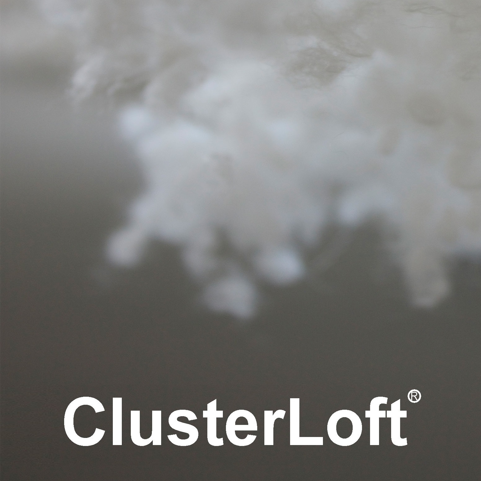 Qingdao ClusterLoft Co Ltd